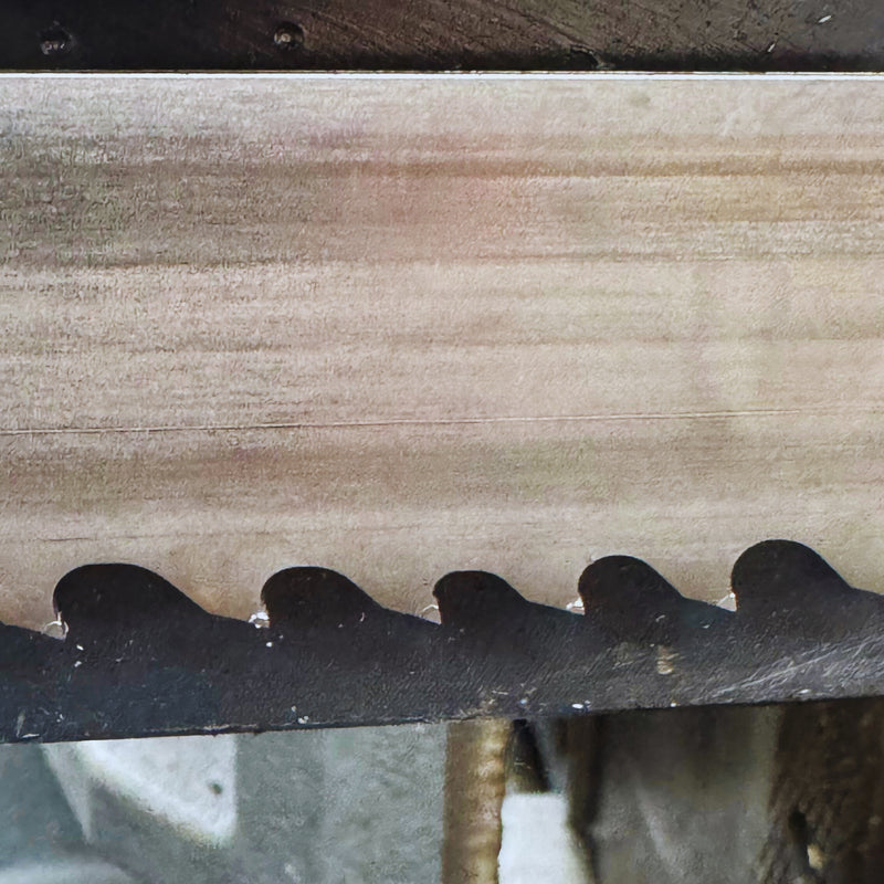 Sierra Cinta con dientes de carburo